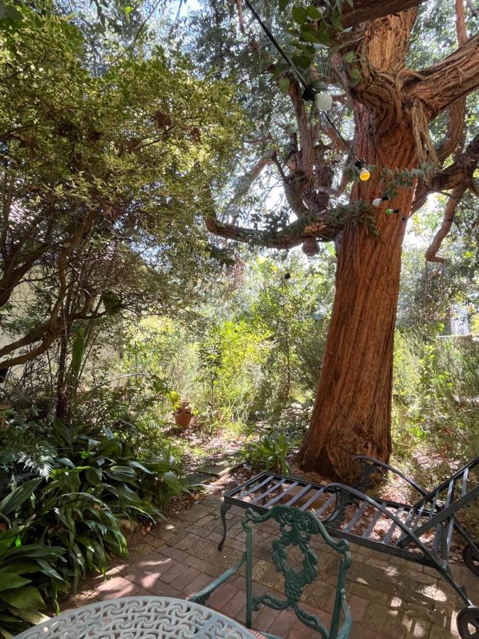 Constantia Guest House Кейптаун Екстериор снимка